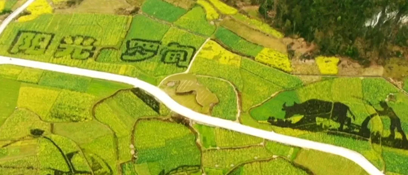 1749173005137617.jpg 1745307443761087.jpg